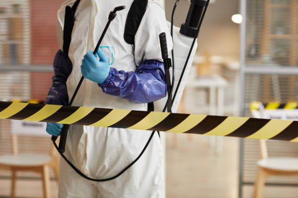 Professional Sewage Cleanup technician working in Alexander, AR